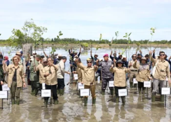 Gubenur Ikuti Kick Off Penanaman Mangrove For Coastal Resilience di Provinsi Kaltara
