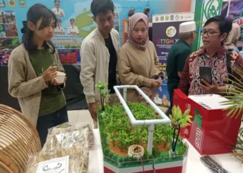 Dukung Ketahanan Pangan, Program CSR Mantap Betul Binaan PT Pertamina EP Bunyu Field Ciptakan Inovasi Alat Siram Otomatis