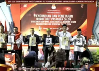 Pilkada Kaltara, Sulton No 1, ZIAP No 2, YESS No 3