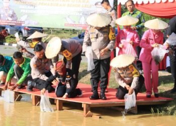 Dalam Rangka Mendukung Swasembada Pangan,  Polda Kaltara Lakukan Penebaran Benih Ikan Lele