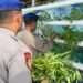 Asta Cita Presiden RI, Sat Polairud Polres Tarakan Ciptakan Ketahanan Pangan dengan Bertanam Sayur Hidroponik