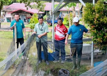 Lapas Tarakan Panen Raya Ikan dan Sayuran di Area SAE