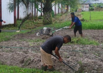 Manfaatkan Lahan Sarana Asimilasi dan Edukasi, Berdayakan Warga Binaan Dukung Program Ketahanan Pangan Nasional