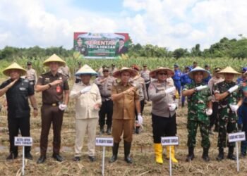 Program 1 Juta Hektar: Kapolres Tarakan Pimpin Penanaman Jagung Nasional