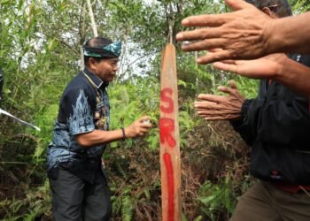 Gubernur Kaltara Dukung Program Sekolah Rakyat Ciptakan Pendidikan Inklusif