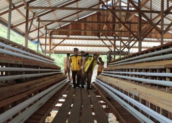 Wagub Ingkong Dorong Perusahaan Berikan Pelatihan Kewirausahaan Ke Masyarakat