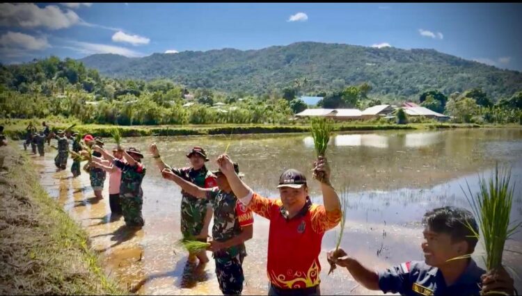 Satgas Yonzipur 8 Pamtas RI-Malaysia Dukung Ketahanan Pangan di Krayan