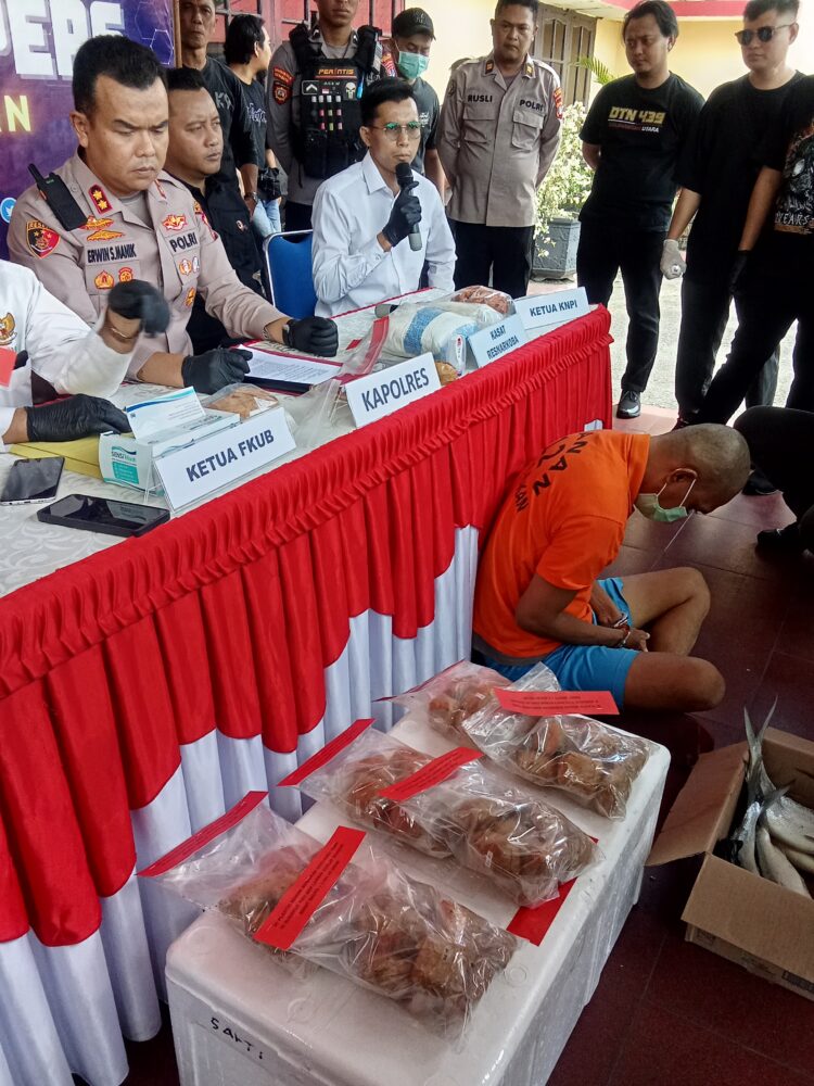 Satresnarkoba Polres Tarakan Ungkap Penyelundupan Sabu dalam Perut Ikan Bandeng