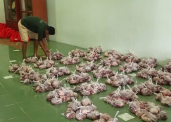 Idul Adha 1446 H, Masjid Darun Najah Tarakan Salurkan 900 Kantong Daging Qurban