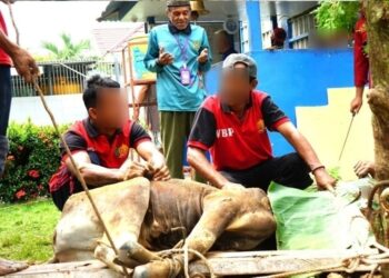 Iduh Adha 146 H, Lapas Kelas IIB Nunukan Sembelih 7 ekor sapi dan 4 ekor kambing
