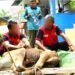 Iduh Adha 146 H, Lapas Kelas IIB Nunukan Sembelih 7 ekor sapi dan 4 ekor kambing