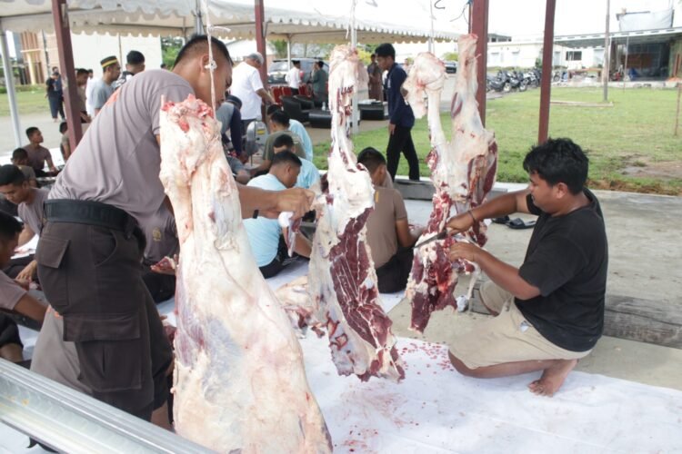 Polda Kaltara Laksanakan Pemotongan Hewan Kurban di Hari Raya Idul Adha 1446 H