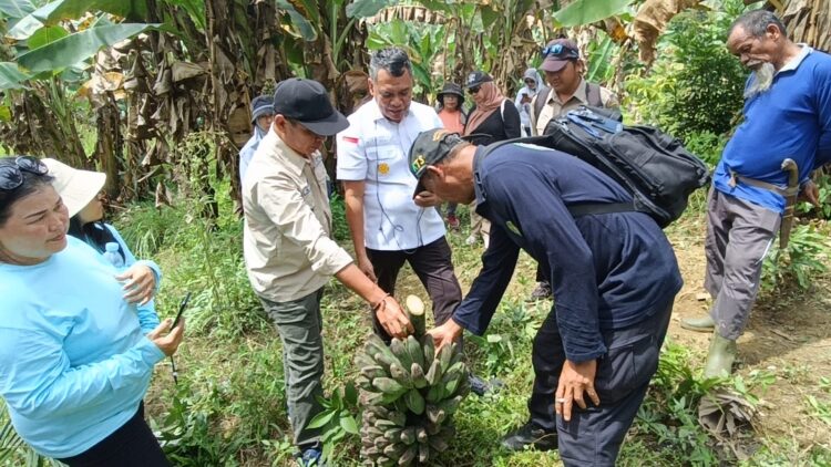 Kanwil Kemenkum Kaltim Matangkan Persiapan Verifikasi Indikasi Geografis Pisang Kepok Kutai Timur