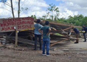 Aparat Gabungan Tertibkan Arena Judi Sambung Ayam di Tarakan