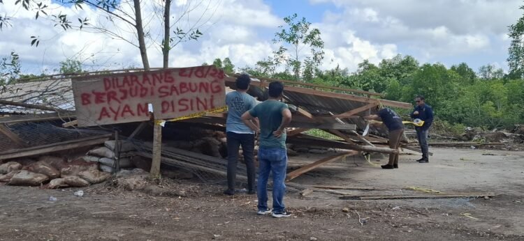 Aparat Gabungan Tertibkan Arena Judi Sambung Ayam di Tarakan