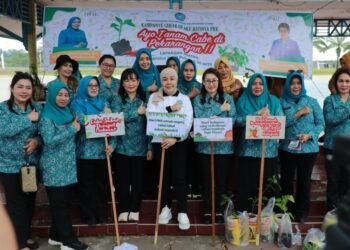 Galakkan Konsumsi Pangan Lokal, PKK Bagikan Bibit Cabai