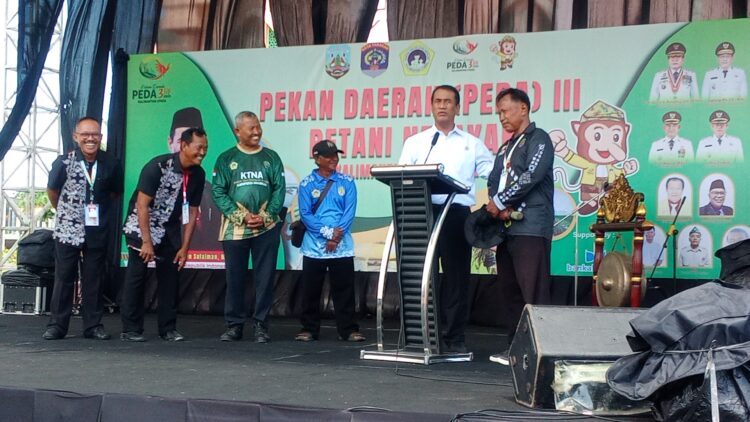 35 Tahun Jadi PPL di Nunukan, Menteri Pertanian Bantu Sepasang Sapi untuk Imam