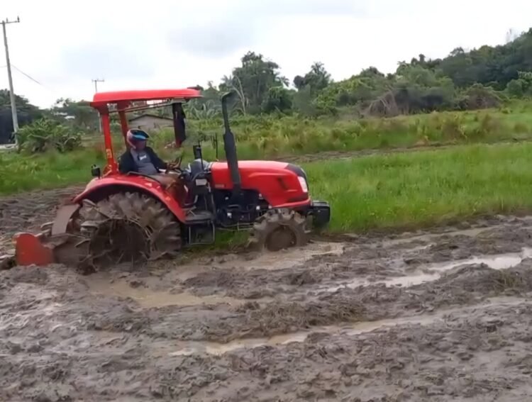 Bantuan Alsintan dan Pupuk Terus Disalurkan, DKPP Nunukan Pastikan Petani Dapat Dukungan Merata