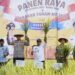 Panen Padi Capai Target, Komitmen Penuh Pemerintah Mendukung Swasembada Pangan Nasional
