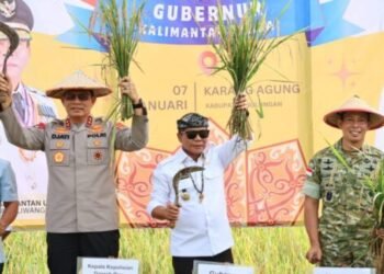 Kapolda Kaltara Hadiri Panen Raya Padi di Desa Karang Agung Tanjung Palas