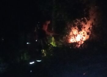 Kebakaran Lahan Juata Permai Diduga Ulah Manusia