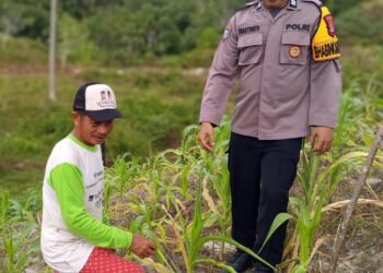 Dukung Ketahanan Pangan Nasional, Bhabinkamtibmas Polsek Tarakan Timur Gelar Patroli Dialogis