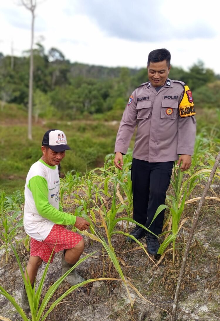 Dukung Ketahanan Pangan Nasional, Bhabinkamtibmas Polsek Tarakan Timur Gelar Patroli Dialogis