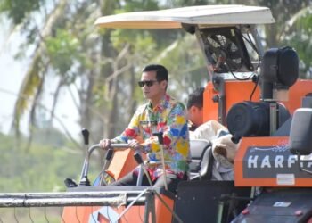 Panen Raya di Mansapa, Pemkab Nunukan Dorong Produktivitas Petani Lewat Brigade Pangan