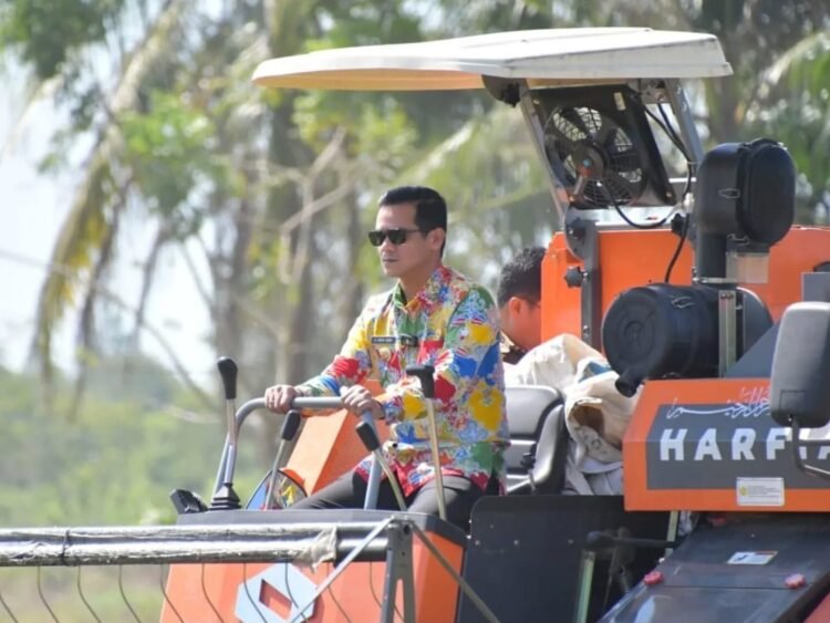 Panen Raya di Mansapa, Pemkab Nunukan Dorong Produktivitas Petani Lewat Brigade Pangan