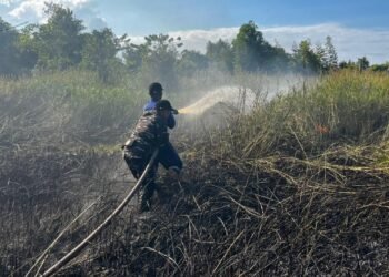 Saat Penanganan Karhutla di Tarakan Dua Petugas Alami Luka