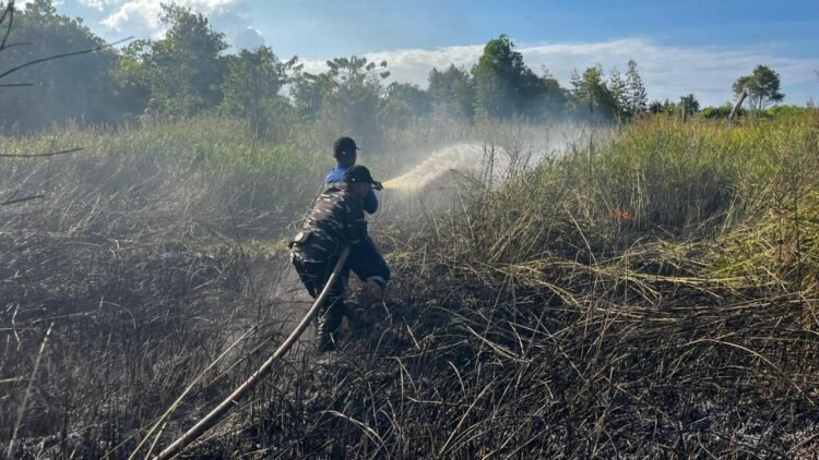 Saat Penanganan Karhutla di Tarakan Dua Petugas Alami Luka