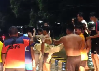 Banjir Masih Rendam Malinau, Warga Tangkap Buaya di Tengah Kepungan Air