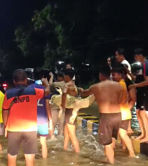 Banjir Masih Rendam Malinau, Warga Tangkap Buaya di Tengah Kepungan Air