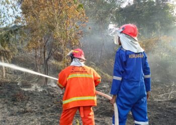 Karhutla Kembali Terjadi di Tarakan, Camat Tarakan Utara Keluarkan Imbauan Dan Ingatkan Sanksi Tegas