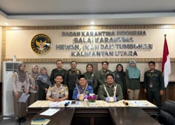 Barantin Kaltara Limpahkan 38 Pasang Tanduk Rusa ke BKSDA, Hasil Sitaan di Pelabuhan Nunukan