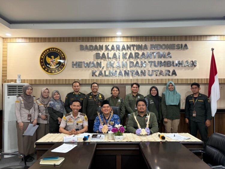 Barantin Kaltara Limpahkan 38 Pasang Tanduk Rusa ke BKSDA, Hasil Sitaan di Pelabuhan Nunukan