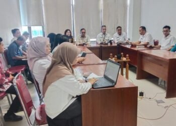 Pemprov Kaltara Siapkan Skema Jagung Subsidi, Ringankan Beban Peternak