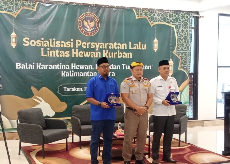 DPRD Tarakan Minta Pengaturan Lalu Lintas Ternak Lebih Berkeadilan