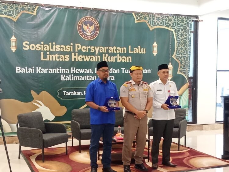 DPRD Tarakan Minta Pengaturan Lalu Lintas Ternak Lebih Berkeadilan