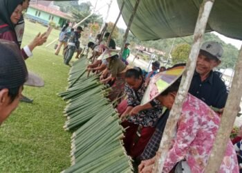 Syukur Panen Gong Solok, 1.000 Lemang Jadi Simbol Kebersamaan Warga