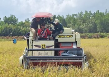 Bupati Irwan Sabri Tegaskan Komitmen Daerah Dukung Program Presiden di Sektor Pertanian