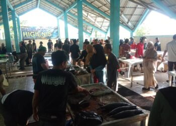 Pasar Ikan Higienis Hadir di Tarakan, Pemprov Kaltara: Solusi Harga Terjangkau