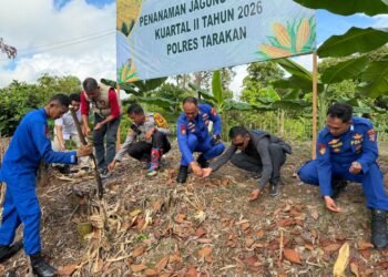 Dukung Program Nasional, Polres Tarakan Turun Langsung Tanam Jagung Bersama Petani