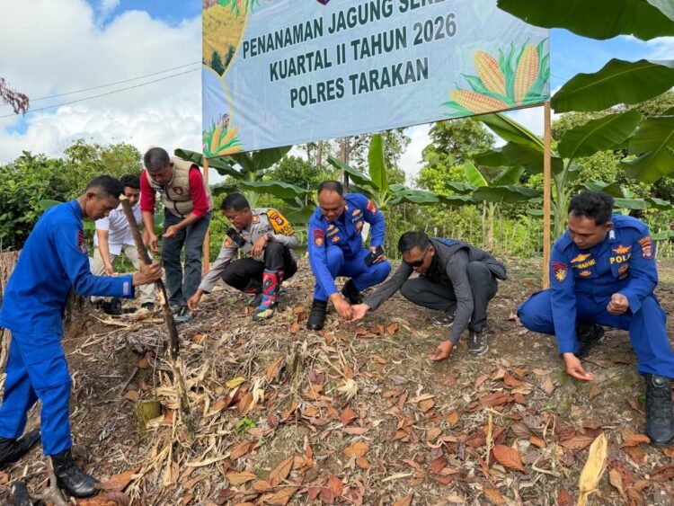 Dukung Program Nasional, Polres Tarakan Turun Langsung Tanam Jagung Bersama Petani