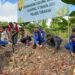 Dukung Program Nasional, Polres Tarakan Turun Langsung Tanam Jagung Bersama Petani