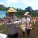 Panen Raya Jagung di Tarakan, Kapolda Kaltara Tegaskan Komitmen Polri Dukung Ketahanan Pangan