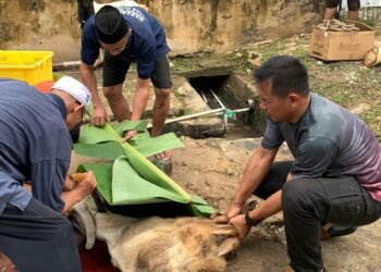 Semangat Berbagi di Hari Raya, Lapas Nunukan Sembelih 7 Hewan Kurban