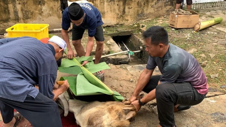 Semangat Berbagi di Hari Raya, Lapas Nunukan Sembelih 7 Hewan Kurban