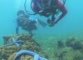 Hari Terumbu Karang Sedunia, PHI Perkuat Aksi Konservasi Laut di Kalimantan Timur