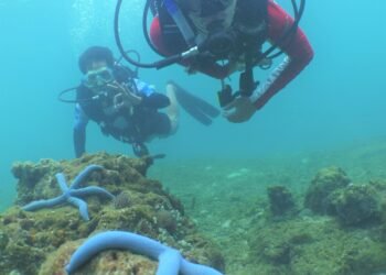 Hari Terumbu Karang Sedunia, PHI Perkuat Aksi Konservasi Laut di Kalimantan Timur
